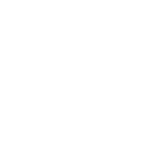 International Driving Licence